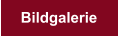 Bildgalerie